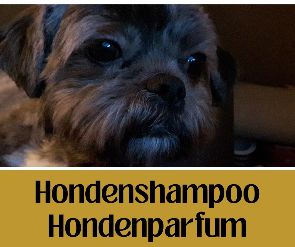 hondenshampoo hondenparfum monja kadohart asten wasparfum le essenze di elda kaarsenzand.webp