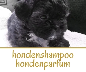 Hondenshampoo Le Essenze Di Elda - Monja's Trading