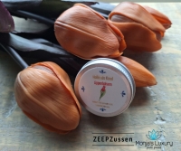 Hollands Goud Lippenbalsem Tulp