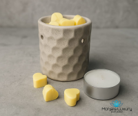 Geurbrander set waxmelts Ylang