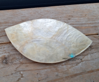 Schaaltje Schelp Capiz, leaf goud