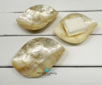 Schaaltje Schelp Capiz, wit of goud